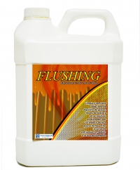 FLUSHING