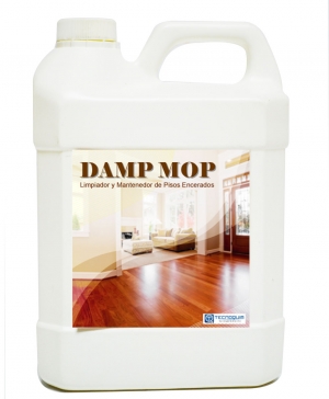 DAMP MOP